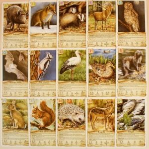 Állatok erdőn 4 az 1-ben kártyajáték